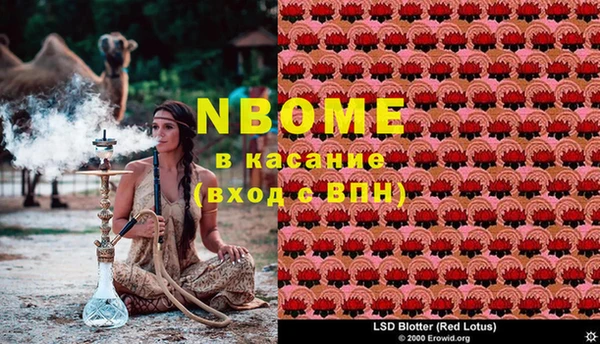 spice Михайлов