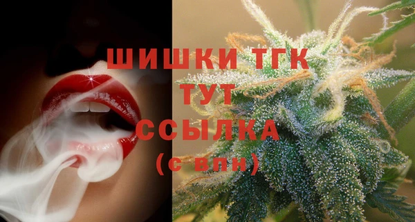 гидра Михайловск