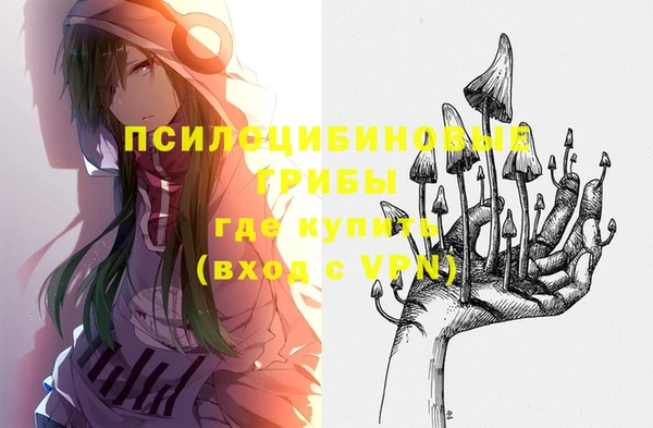 spice Михайлов