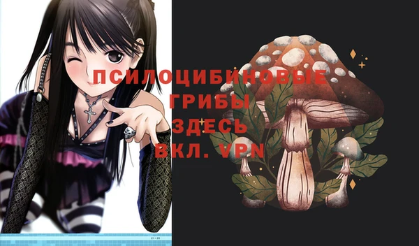 гидра Михайловск
