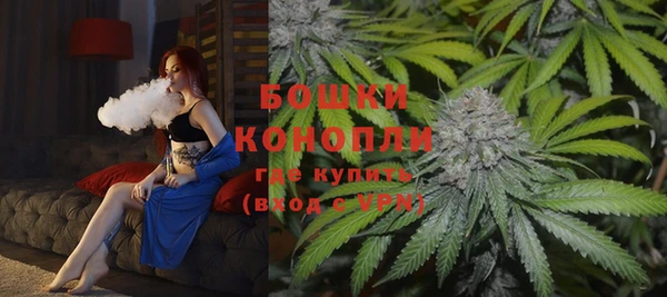 spice Михайлов