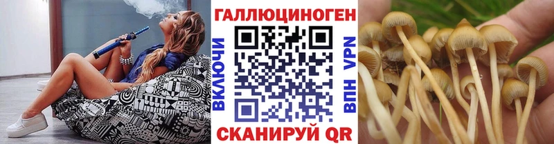 Псилоцибиновые грибы Magic Shrooms  Динская 