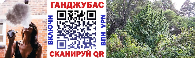 мега ТОР  Динская  Бошки Шишки индика 